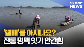 '뻘배'를 아시나요? 전통 명맥 잇기 안간힘[목포MBC 뉴스데스크]