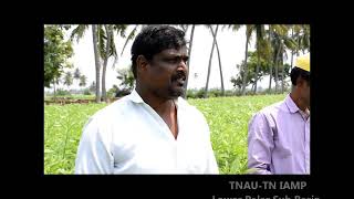 TNAU KVK Vellore TNIAMP Lower Palar Sub Basin Interventions