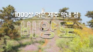 제주의 막내섬, 1000년의 섬 비양도 by 김홍규