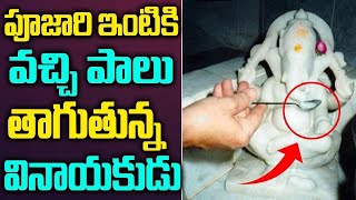 పూజారి ఇంట్లో పాలు తాగిన వినాయక   MILK MIRACLE Lord Ganesh Drinks Milk Offering |sribhakti