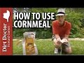 How To Use Cornmeal - The Dirt Doctor