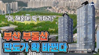 무려 8500세대! 해운대 뛰어넘을 고급 주거타운…부산 진구가 날아오른다ㅣ부산시민공원 푸르지오ㅣ발품순삭AD