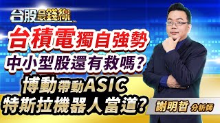 謝明哲分析師【台積電獨自強勢  中小型股還有救嗎?  博動帶動ASIC  特斯拉機器人當道?】│#台股最錢線 2024.12.16