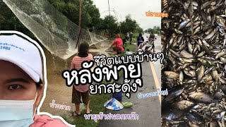 หลังฝนตกหนัก ไทบ้านแตก หาอยู่หากิน ตึกสะดุ้ง ยกยอหาปลา แบบง่ายๆ วิถีไทบ้าน | ป้าบิว ชาแนล