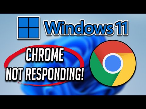 Google Chrome не отвечает в Windows 11/10/8/7 — [Учебник 2024]