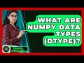 What Are NumPy Data Types (dtype)? - AI and Machine Learning Explained