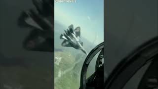 Grumman F 14 Tomcat Epic Dog Fight