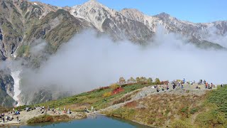 紅葉の白馬八方尾根を歩く。　2012年10月8日