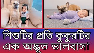 এমন ভালবাসা মানুষের মাঝে দেখা যায়না | আমার কুকুর আমার শিশুর প্রেমে পড়েছে