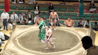 Masunosho (2-5) - Ohara (1-6) , Sumo : Natsubasho '15