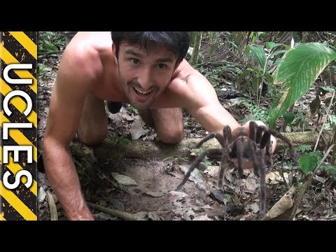 HUGE Tarantula Caught - with Andrew Ucles HUGE Tarantula Caught - with Andrew Ucles