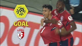 Goal Luiz ARAUJO (12') / LOSC - ESTAC Troyes (2-2) / 2017-18