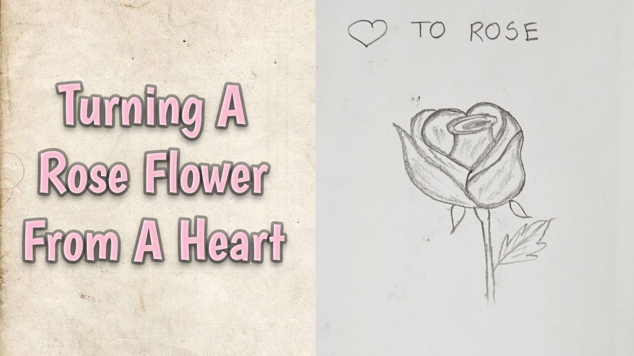 How To Draw A Rose Flower From пёџ Heart Ii Art Easyart Sketch