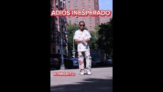 ADIOS INESPERADO (VIDEO OFICIAL)