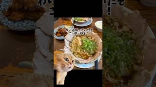 【尾道ラーメン食べに行った話】 #shorts #猫ミーム #ラーメン