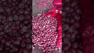 भोपाल करोंद मंडी शनिवार 3/8/2024 प्याज के नीलामी के होलसेल रेट #onion #oniononion #farming # #pyaj