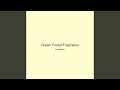 Dream Forest Fragments