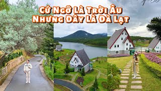 DaLat Wonder Resort đẹp như trời Âu tại Đà Lạt, quá xuất sắc!!!