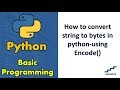 How to convert string to bytes in python-using Encode()