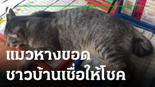 แมวหางขอด นอนบนแผงลอตเตอรี่ | 25-02-66 | ข่าวเช้าไทยรัฐ เสาร์-อาทิตย์