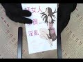 taaze｜好女人都很淫亂：ol的性愛報告書 二手書書況 9789571048147