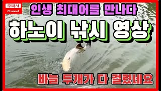 [주박사채널] 베트남 하노이 근교 레드파쿠 대물 낚시영상#fishing