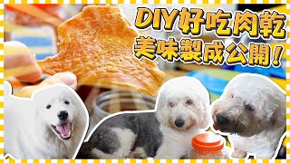 【小老闆監工日記】DIY好吃肉乾！超級美味！狗狗超級愛！｜ 古代牧羊犬/薩摩耶/Samoyed/Old English Sheepdog