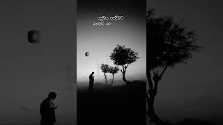 කතාව ඇත්ත නම් කමෙන්ට් කරන්න  🥺🥀 sinhala wadan | whatsApp status #wadan