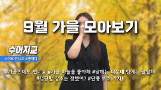 수어지교 9월 가을 모아보기