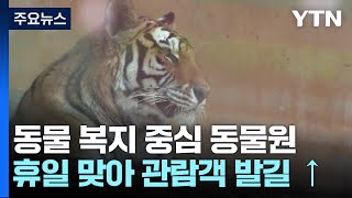 국내 첫 거점동물원 '청주 동물원'...동물 복지 중심 / YTN