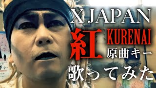 【X JAPAN／紅】原曲キーで歌ってみた