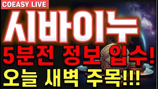 [시바이누 전망] 🔥긴급! 최소 300% 이 가격까지 홀딩하자!🔥