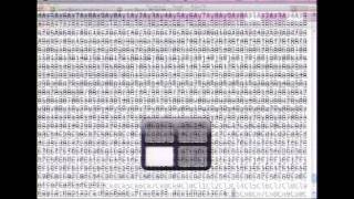 Overflow Exploitation, Step By Step