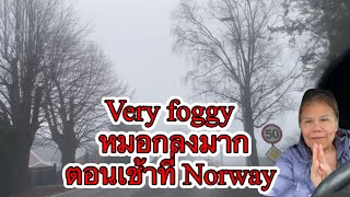 นอร์เวย์ Norway ท่องเที่ยว ฤดูหนาว Tønsberg หมอกตอนเช้า