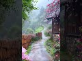 just watching and listening quietly like this is also a kind of happiness scenery chinarain rain