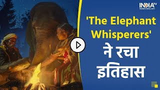 Oscars 2023: 'The Elephant Whisperers' ने रचा इतिहास, Oscar जीतने वाली पहली भारतीय Documentary फिल्म