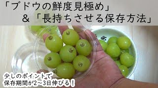 お家で果樹栽培（番外編）　「ブドウのを長持ちさせる保存方法」