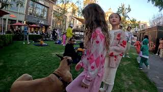 Cash 2.0 Great Dane at The Grove and Farmers Market in Los Angeles 75