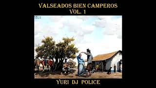 VALSEADOS BIEN CAMPEROS VOL 1