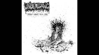 Undergang - Ad Ligbitum