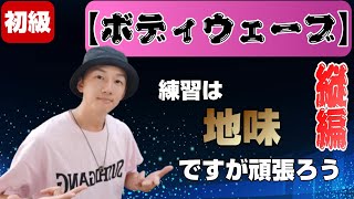 ダンス初心者　アイソレーションの応用　【ボディウェーブ】縦編！