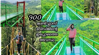 900 KANDI GLASS BRIDGE | offroad jeep Trek / 900 കണ്ടി ഗ്ലാസ് ബ്രിഡ്ജ് വയനാട് #900kandi #wayanad