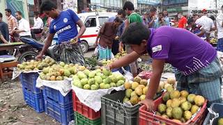 বাজারে এসেছে নানা জাতের আম