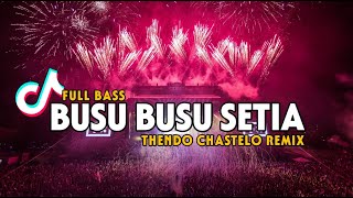 DJ TIKTOK BIAR SA BUSU BEGINI (FULL BASS) THENDO CHASTELO REMIX 2024‼️