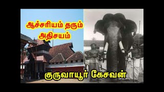 ஆச்சரியம் தரும் அதிசயம் - குருவாயூர் கேசவன் / Gajarajan Guruvayur Keshavan