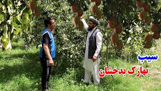 چکر به زیبای های بدخشان، سیب خوش مزه بهارک، قصه های وطنی Badakhshan Faizabad