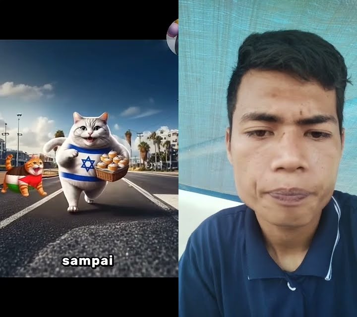 Ibu Kucing Dan Anak Nya Yang Malang#shortvideos #shorts #video #viral # ...