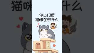 当你出门后，猫咪会想你吗？通常会想主人的猫，都有这些行为。［猫咪知识］有猫真好