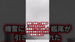 【紅茶の国のぶっ飛びすぎてた駆逐艦の末路がえぐすぎた…】