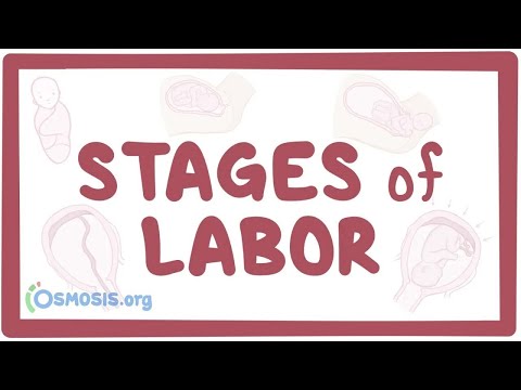 What part of speech is labor?